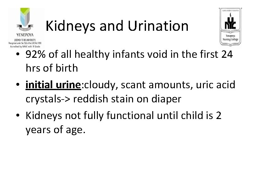 Kidneys and Urination • 92% of all healthy infants void in the first 24