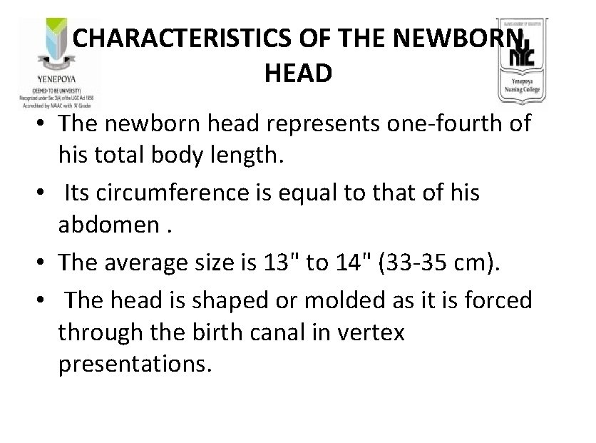  CHARACTERISTICS OF THE NEWBORN HEAD • The newborn head represents one-fourth of his