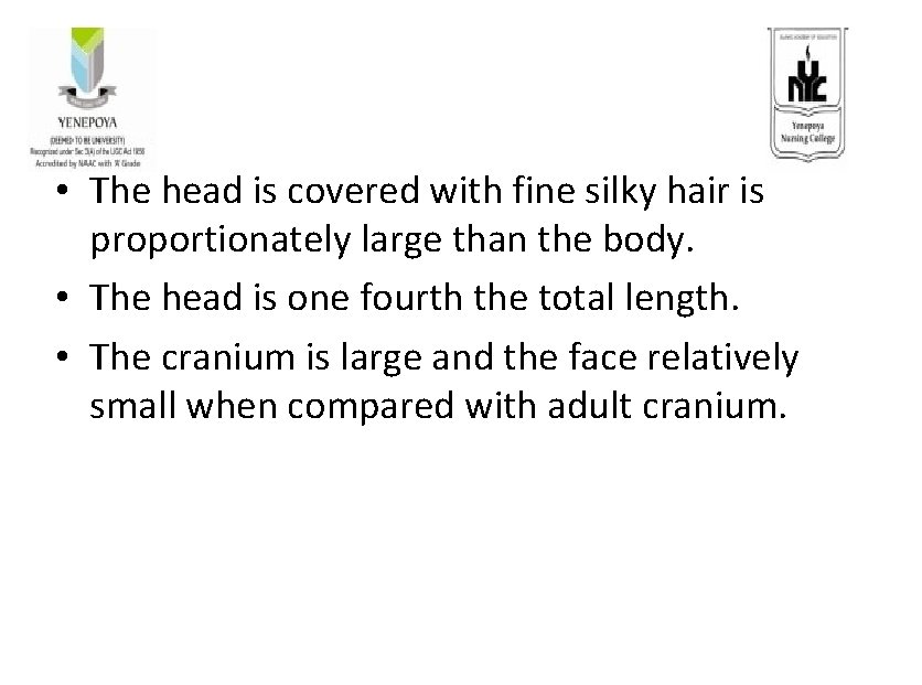  • The head is covered with fine silky hair is proportionately large than