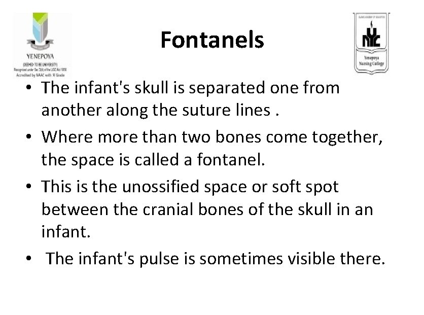 Fontanels • The infant's skull is separated one from another along the suture lines.