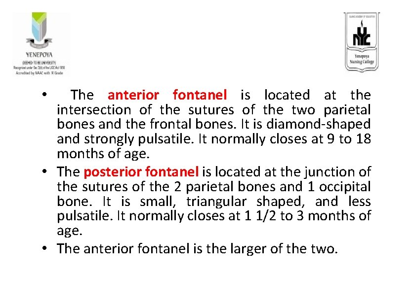  • The anterior fontanel is located at the intersection of the sutures of