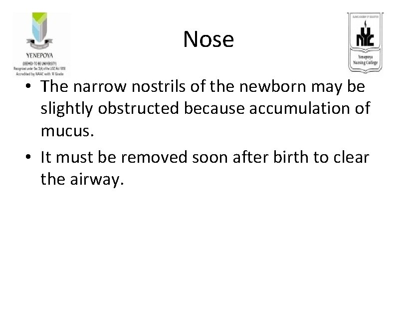 Nose • The narrow nostrils of the newborn may be slightly obstructed because accumulation