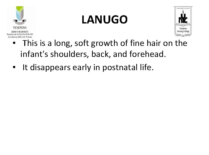 LANUGO • This is a long, soft growth of fine hair on the infant's