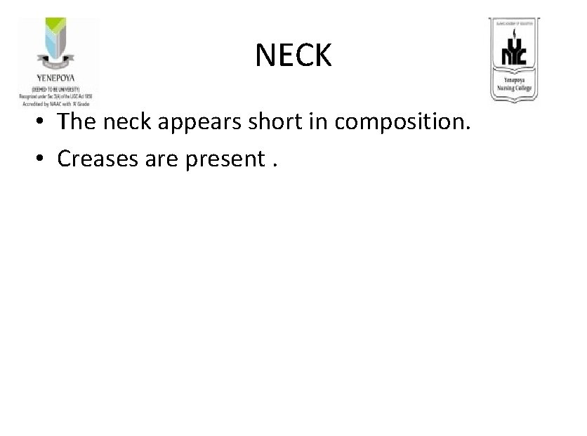 NECK • The neck appears short in composition. • Creases are present. 