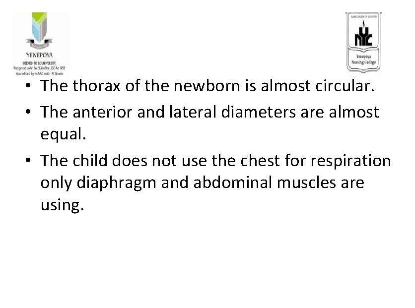  • The thorax of the newborn is almost circular. • The anterior and
