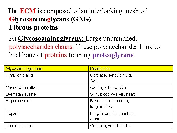 The ECM is composed of an interlocking mesh of: Glycosaminoglycans (GAG) Fibrous proteins A) The ECM is composed of an interlocking mesh of: Glycosaminoglycans (GAG) Fibrous proteins A)