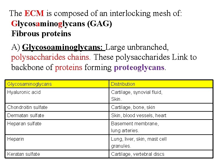 The ECM is composed of an interlocking mesh of: Glycosaminoglycans (GAG) Fibrous proteins A)