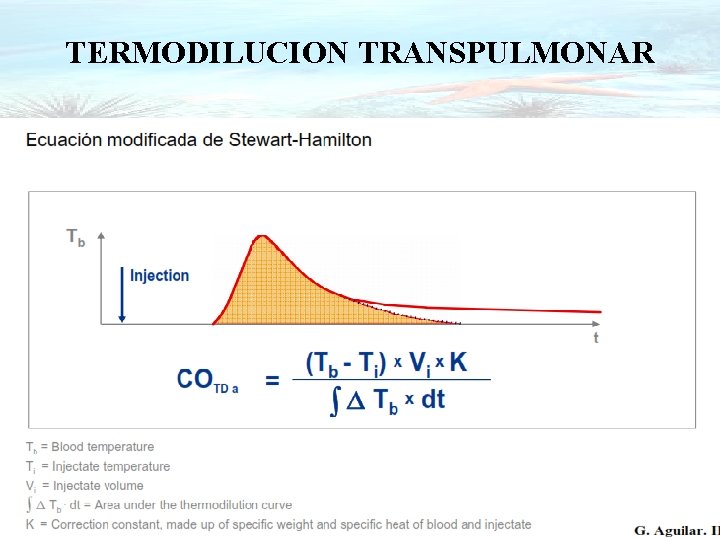 TERMODILUCION TRANSPULMONAR 