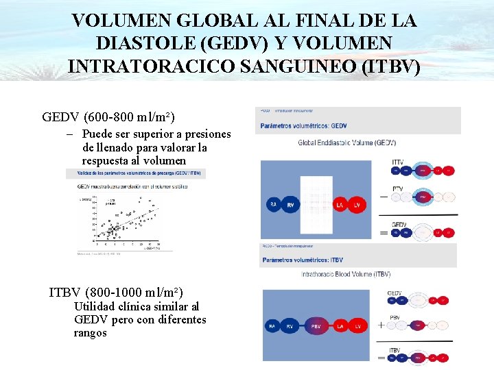 VOLUMEN GLOBAL AL FINAL DE LA DIASTOLE (GEDV) Y VOLUMEN INTRATORACICO SANGUINEO (ITBV) GEDV