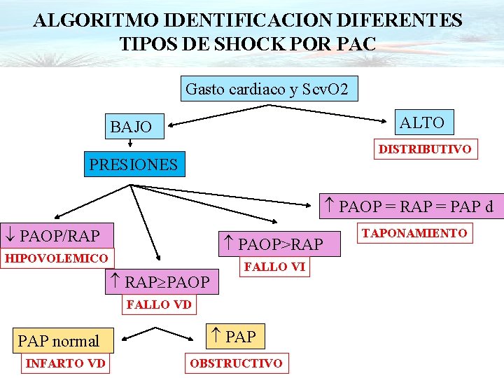 ALGORITMO IDENTIFICACION DIFERENTES TIPOS DE SHOCK POR PAC Gasto cardiaco y Scv. O 2