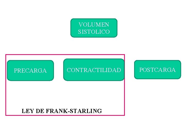 VOLUMEN SISTOLICO PRECARGA CONTRACTILIDAD LEY DE FRANK-STARLING POSTCARGA 
