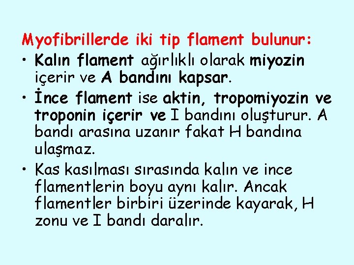 Myofibrillerde iki tip flament bulunur: • Kalın flament ağırlıklı olarak miyozin içerir ve A