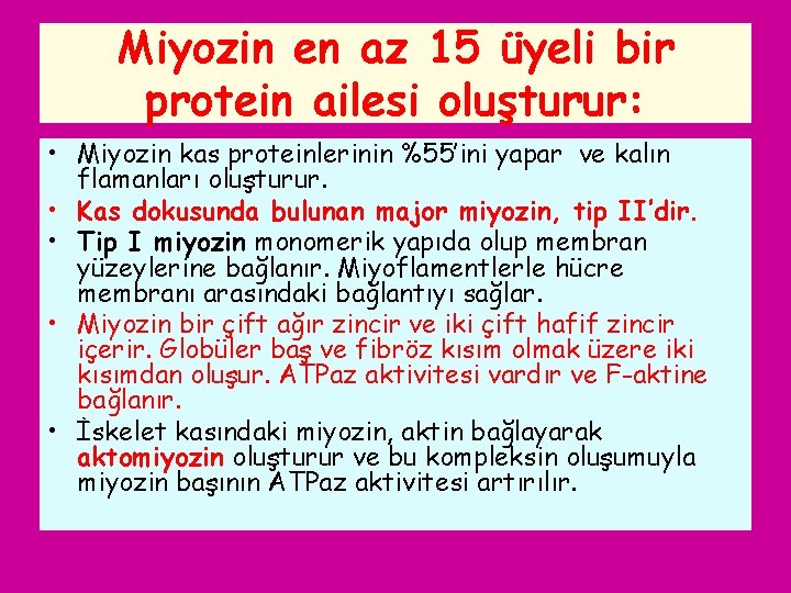 Miyozin en az 15 üyeli bir protein ailesi oluşturur: • Miyozin kas proteinlerinin %55’ini