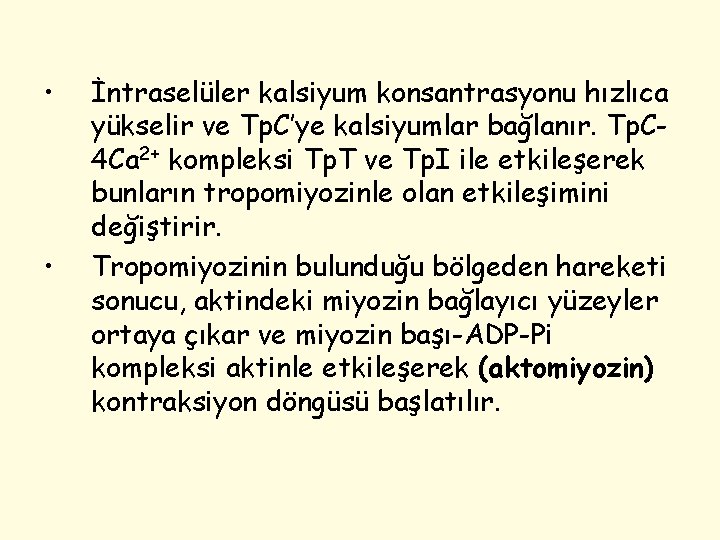  • • İntraselüler kalsiyum konsantrasyonu hızlıca yükselir ve Tp. C’ye kalsiyumlar bağlanır. Tp.
