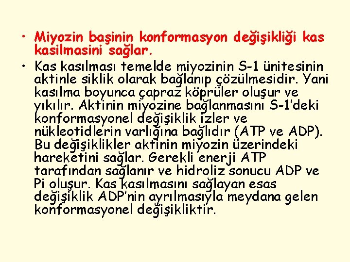  • Miyozin başinin konformasyon değişikliği kasilmasini sağlar. • Kas kasılması temelde miyozinin S-1