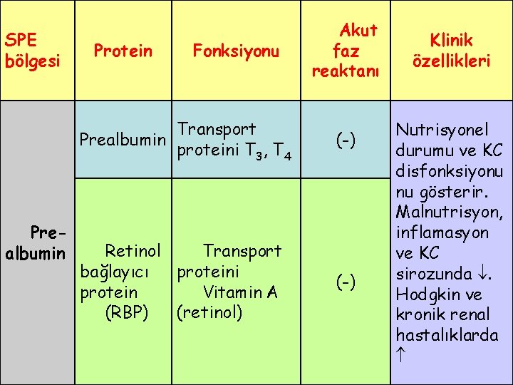 SPE bölgesi Prealbumin Protein Fonksiyonu Akut faz reaktanı Prealbumin Transport proteini T 3, T