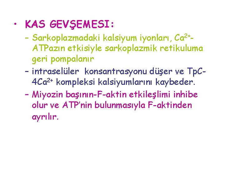  • KAS GEVŞEMESI: – Sarkoplazmadaki kalsiyum iyonları, Ca 2+ATPazın etkisiyle sarkoplazmik retikuluma geri