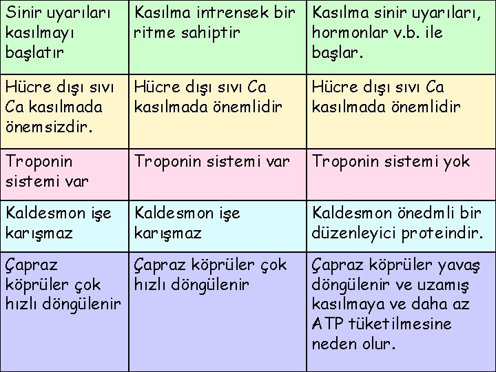 Sinir uyarıları kasılmayı başlatır Kasılma intrensek bir Kasılma sinir uyarıları, ritme sahiptir hormonlar v.