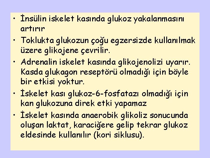  • İnsülin iskelet kasında glukoz yakalanmasını artırır • Toklukta glukozun çoğu egzersizde kullanılmak