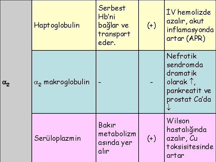 Haptoglobulin 2 2 makroglobulin Serüloplazmin Serbest Hb’ni bağlar ve transport eder. - Bakır metabolizm