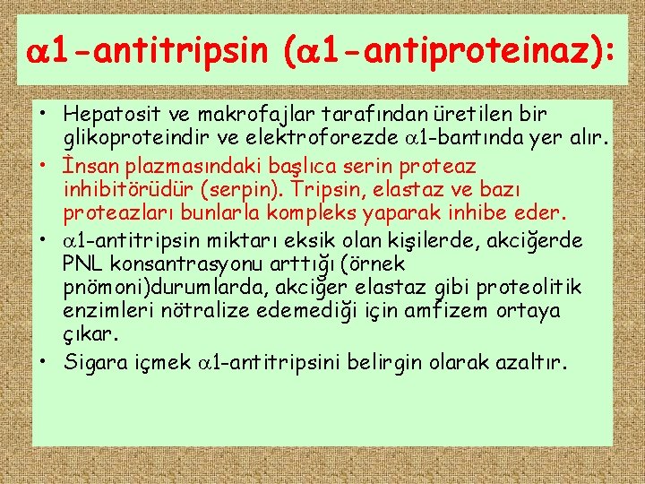  1 -antitripsin ( 1 -antiproteinaz): • Hepatosit ve makrofajlar tarafından üretilen bir glikoproteindir
