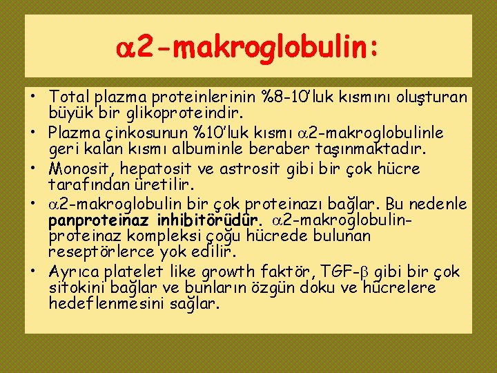  2 -makroglobulin: • Total plazma proteinlerinin %8 -10’luk kısmını oluşturan büyük bir glikoproteindir.