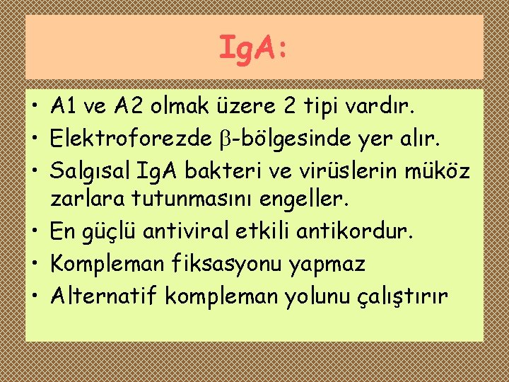 Ig. A: • A 1 ve A 2 olmak üzere 2 tipi vardır. •