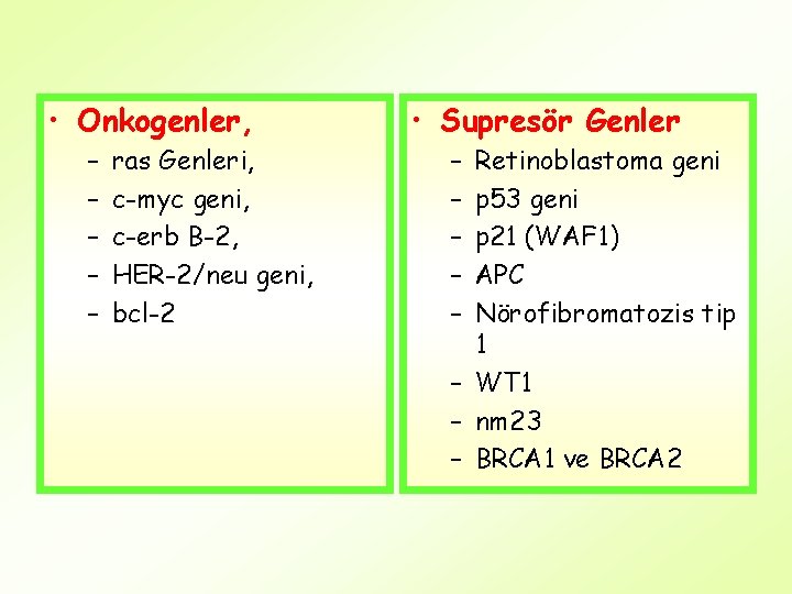  • Onkogenler, – – – ras Genleri, c-myc geni, c-erb B-2, HER-2/neu geni,