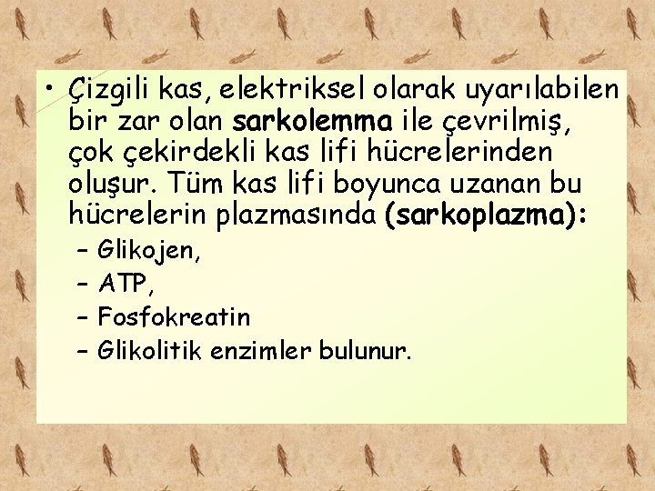  • Çizgili kas, elektriksel olarak uyarılabilen bir zar olan sarkolemma ile çevrilmiş, çok