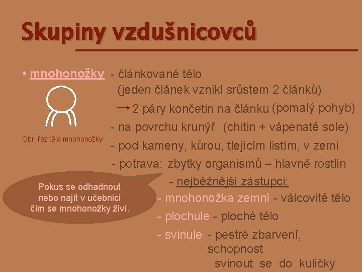 Skupiny vzdušnicovců • mnohonožky - článkované tělo (jeden článek vznikl srůstem 2 článků) 2