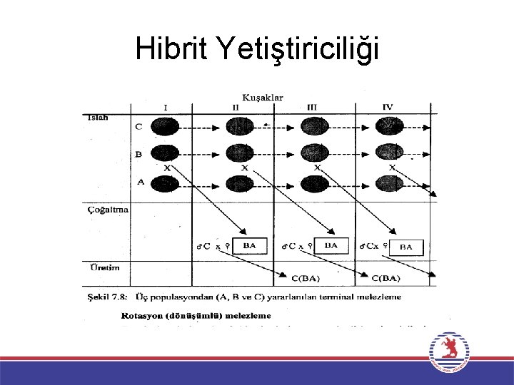 Hibrit Yetiştiriciliği 