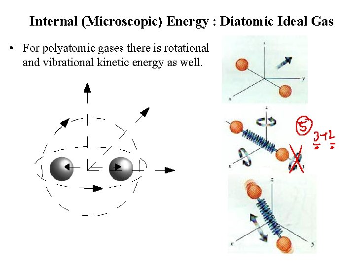 Internal (Microscopic) Energy : Diatomic Ideal Gas • For polyatomic gases there is rotational