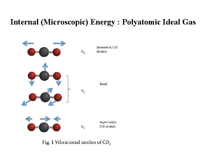 Internal (Microscopic) Energy : Polyatomic Ideal Gas 