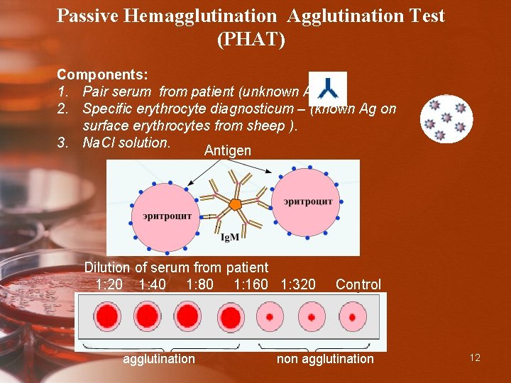 Passive Hemagglutination Agglutination Test (PHAT) Components: 1. Pair serum from patient (unknown Ab). 2.