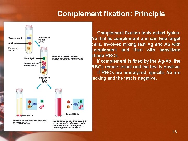 Complement fixation: Principle Complement fixation tests detect lysins- Ab that fix complement and can