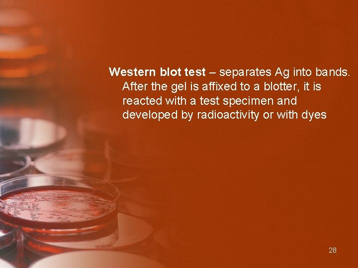 Western blot test – separates Ag into bands. After the gel is affixed to