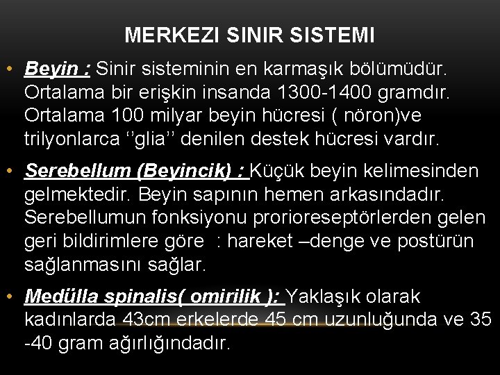 MERKEZI SINIR SISTEMI • Beyin : Sinir sisteminin en karmaşık bölümüdür. Ortalama bir erişkin