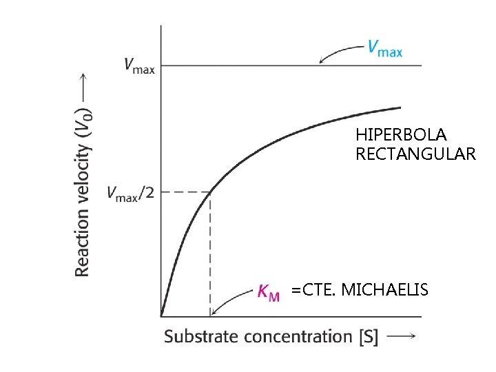 HIPERBOLA RECTANGULAR =CTE. MICHAELIS 