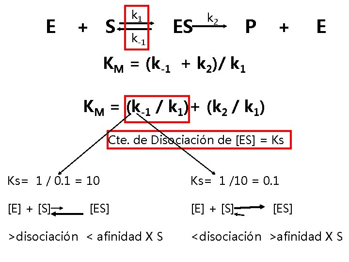 E + S k 1 k-1 ES k 2 P + E KM =