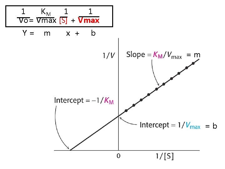1 KM 1 1 Vo= Vmax [S] + Vmax Y= m x + b