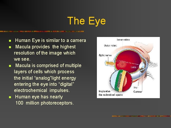 The Eye n n Human Eye is similar to a camera Macula provides the