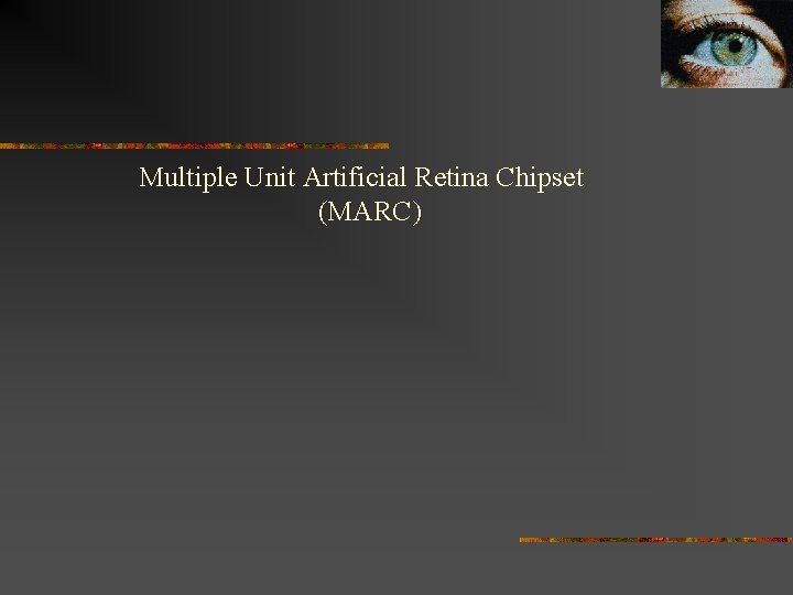 Multiple Unit Artificial Retina Chipset (MARC) 