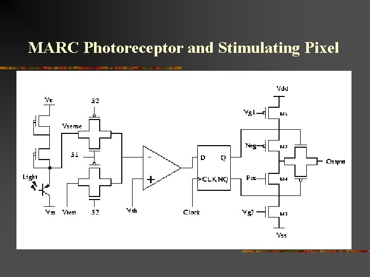 MARC Photoreceptor and Stimulating Pixel 