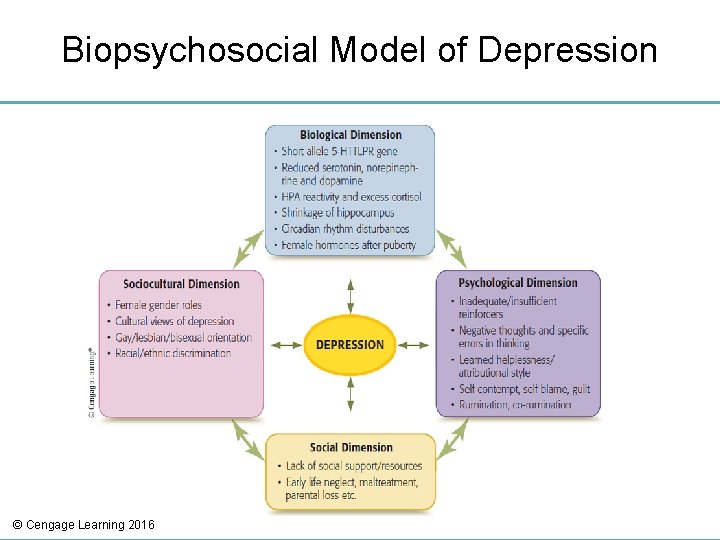 Biopsychosocial Model of Depression © Cengage Learning 2016 