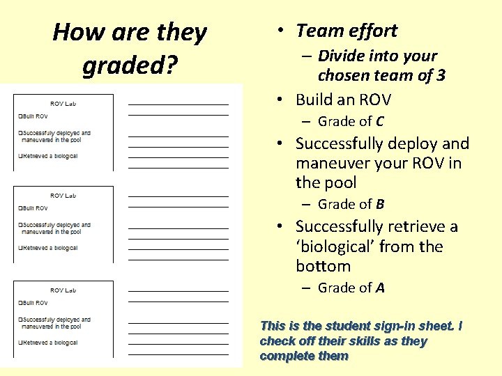 How are they graded? • Team effort – Divide into your chosen team of