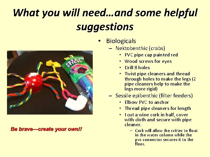 What you will need…and some helpful suggestions • Biologicals – Nektobenthic (crabs) • •