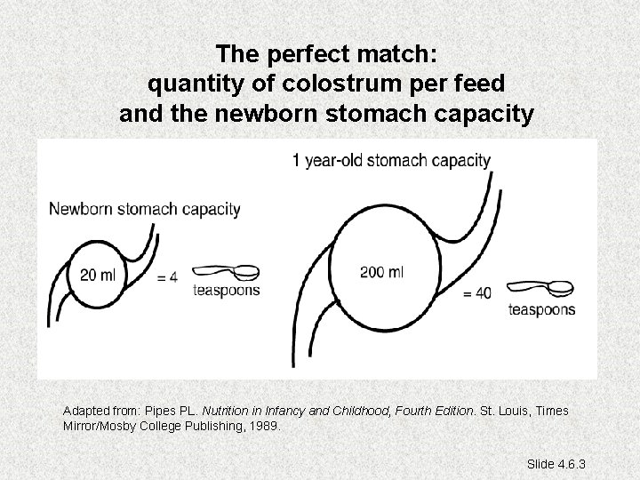 The perfect match: quantity of colostrum per feed and the newborn stomach capacity Adapted