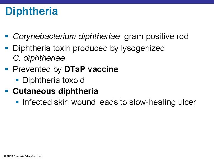 Diphtheria § Corynebacterium diphtheriae: gram-positive rod § Diphtheria toxin produced by lysogenized C. diphtheriae