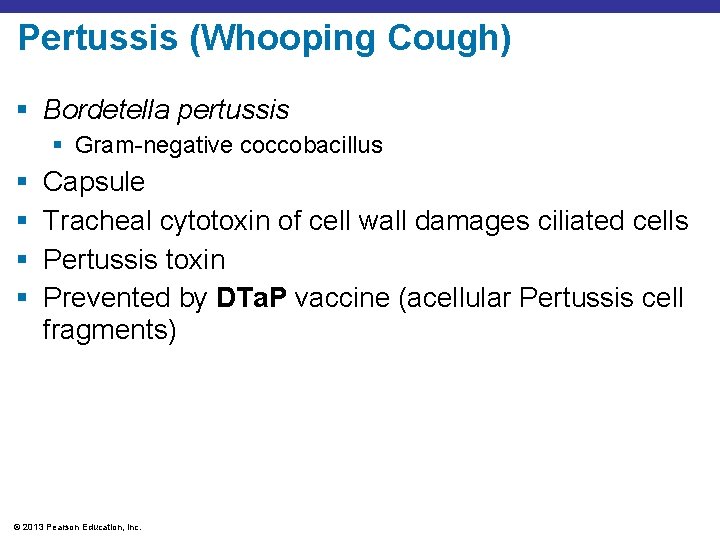 Pertussis (Whooping Cough) § Bordetella pertussis § Gram-negative coccobacillus § § Capsule Tracheal cytotoxin