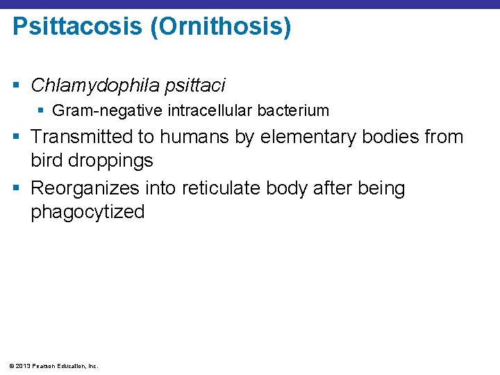 Psittacosis (Ornithosis) § Chlamydophila psittaci § Gram-negative intracellular bacterium § Transmitted to humans by